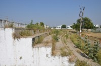 cricket is getting fail in Bhilwara