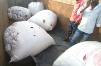 Breaking : जांच टीम ने रुकवाया ट्रक, भीतर देखा तो फटी रह गई आंखें