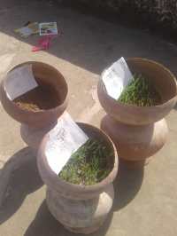 Science and technology department