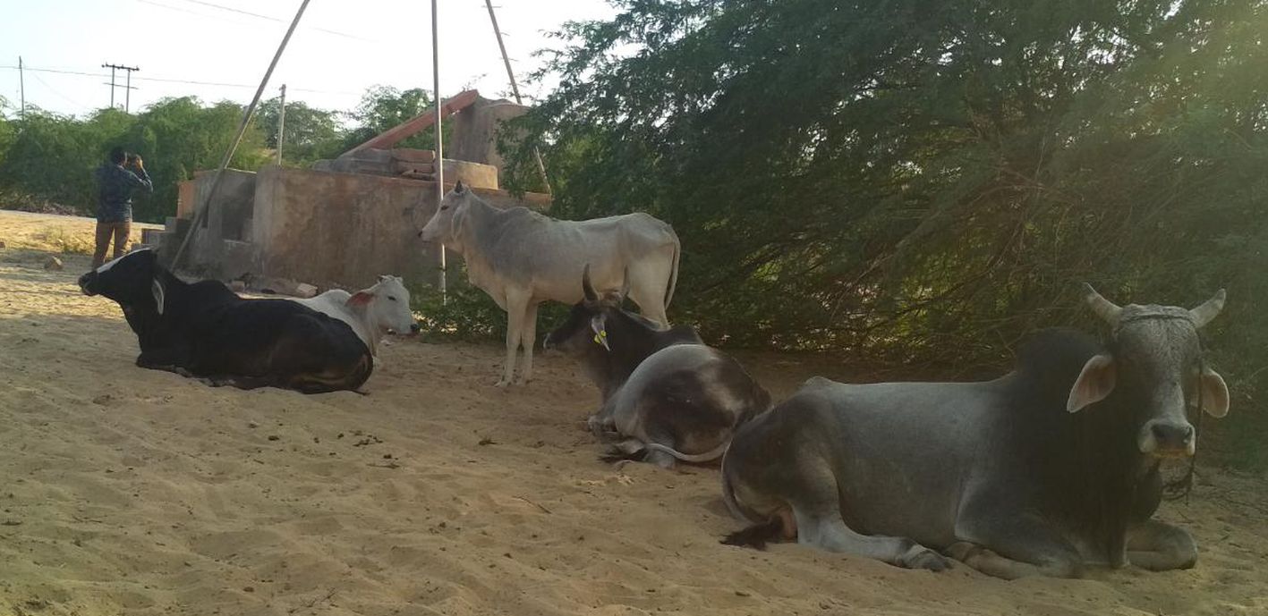 नहर का नीर, कर रहा अधीर?
