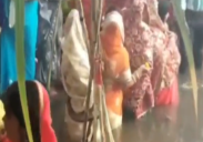 gonda