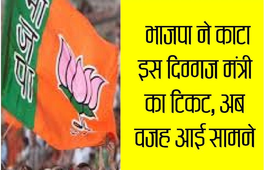 kota news