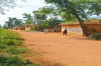 chhattisgarh election