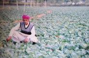 rajasthan 