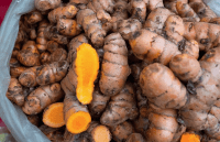 turmeric