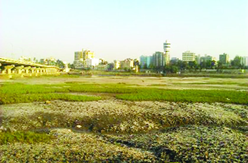 Dumpers will now remove irrigation department