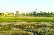 Dumpers will now remove irrigation department
