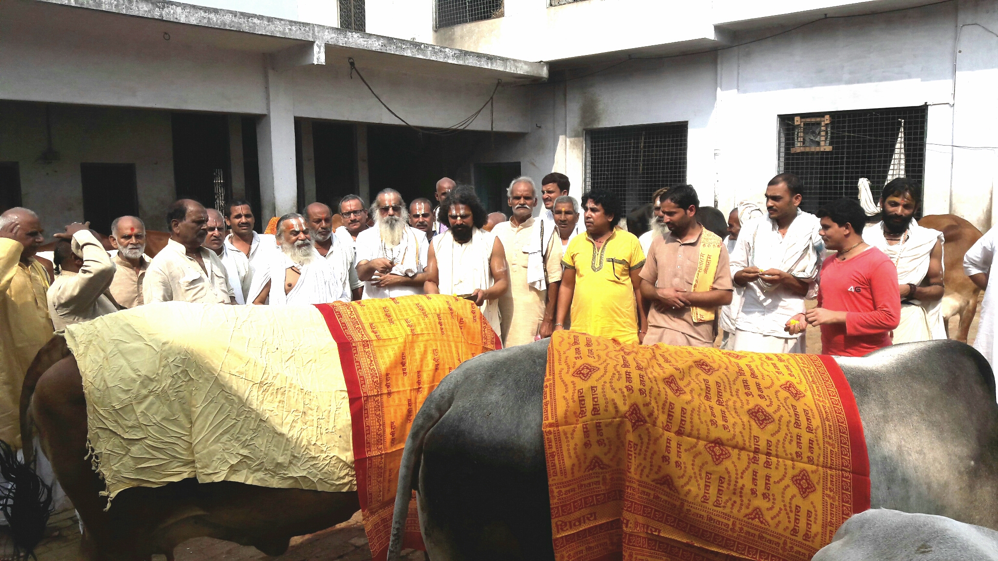 Gopashtami Poojan Programe Ornized In Karsewakpuram Ayodhya