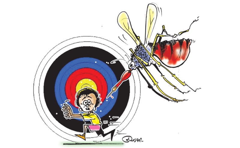 Mosquito free pinkcity