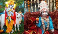Laddu Gopal know story 