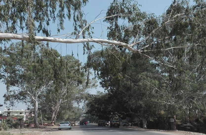 sirohi