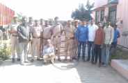 80 lakh liquor recovered from truck in bhilwara
