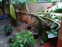 चक्रवाती तूफान