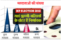 mp election 2018 South-west