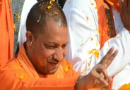 yogi 