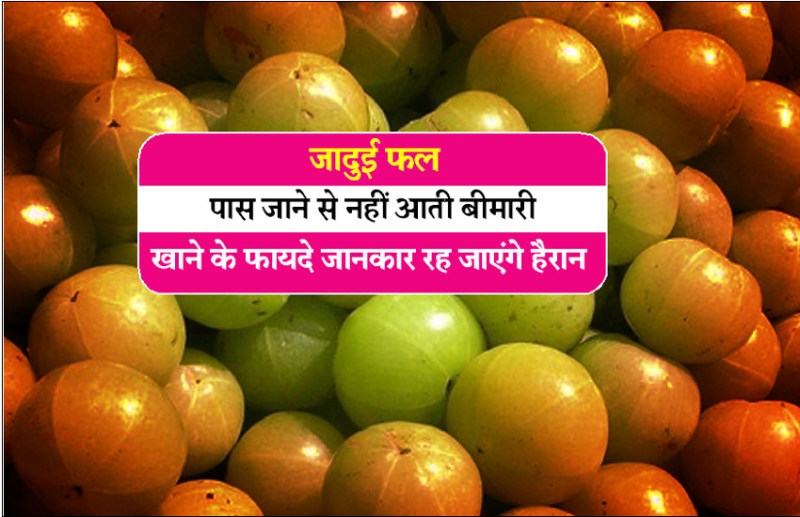Amazing Benefits Of Amla in hindi