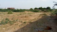 land deal scam