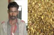 17 lakhs of Doda sawdust seized in truck in bhilwara