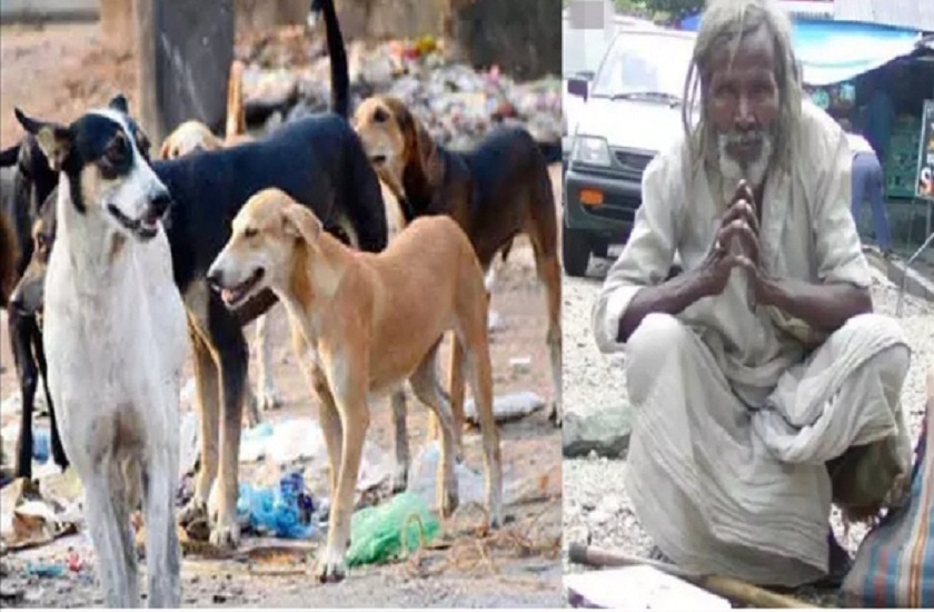 dogs crying on beggar death