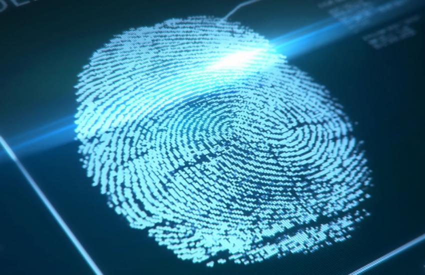 fingerprint