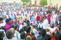 These are Baaghi in Shekhawati For Rajasthan Election 2018