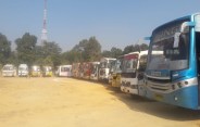 Buses