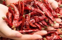 red chillies