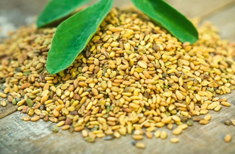 learn-about-the-benefits-of-fenugreek-consumption-in-winter