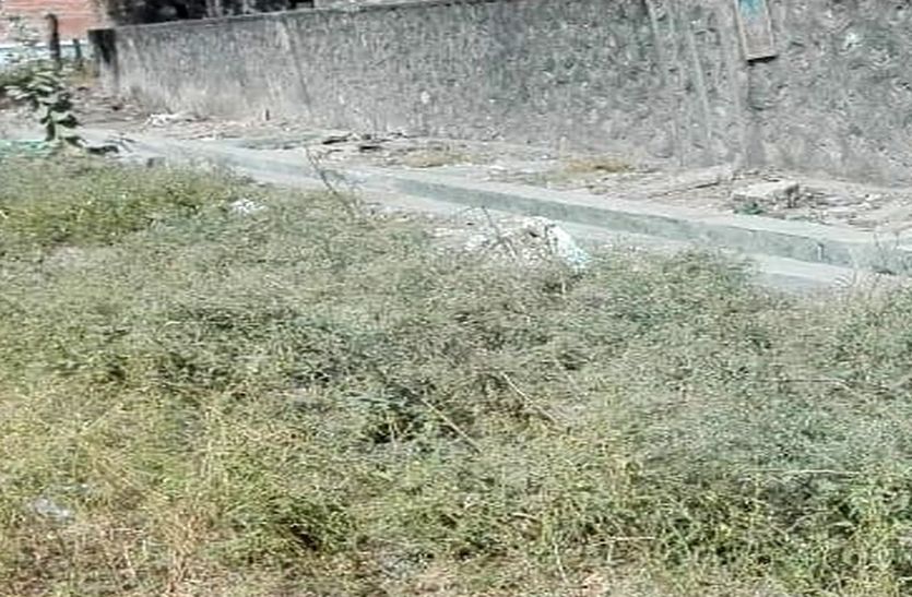 sirohi