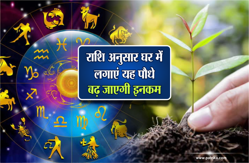 rashi anusar paudhe