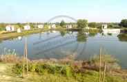 Kartik Mahotsav in bhilwara
