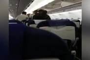इंडिगो पायलट