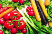 veg diet