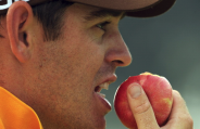 one apple a day