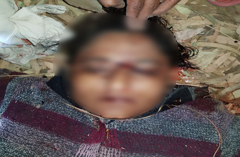 Dead Body Of Pregnant Lady Found In Alwar
