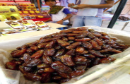 date palm