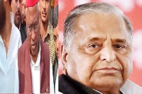 Mulayam singh yadav birthday celebration