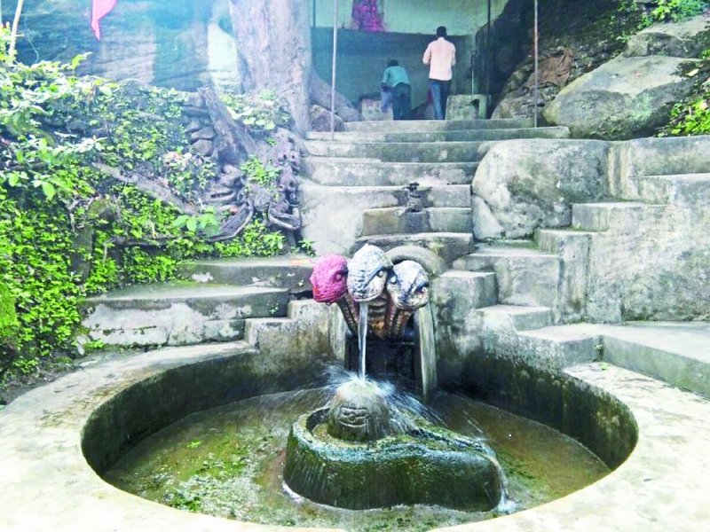 Unexplored appearance of grape caves