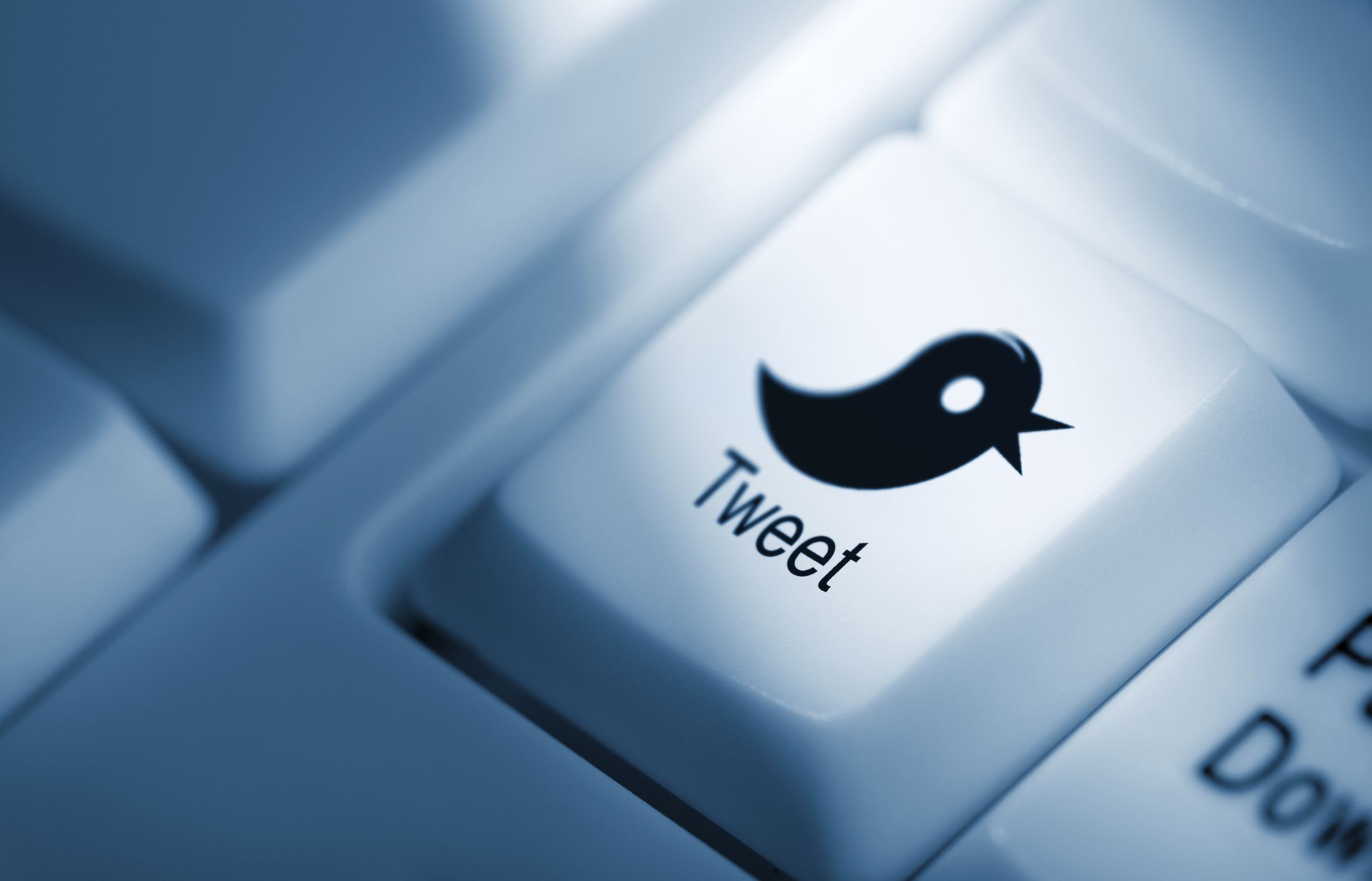 twitter bans an activist over extreme hate tweet