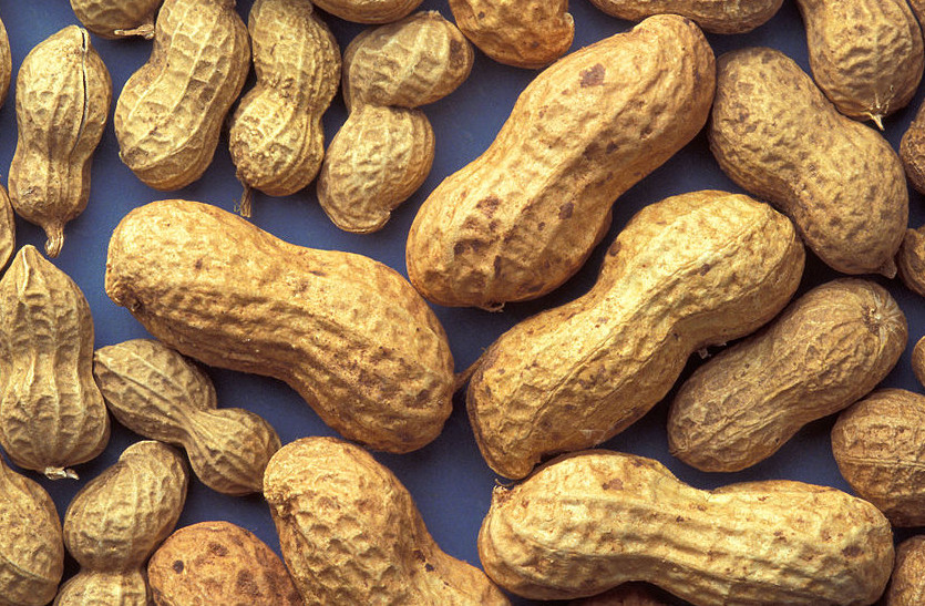 peanut is good in winters 
