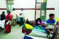 डेंगू से पीडि़त हैं और कई का इलाज मेकाहारा व जिंदल अस्पताल में