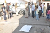 head of calf found on road, sensation spreads