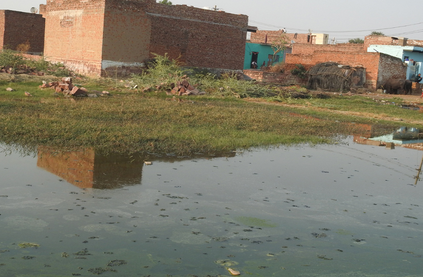 sivaji nagar