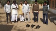 jaisalmer