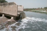 Kanpur