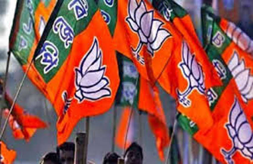 bjp candidate Publicity of kind