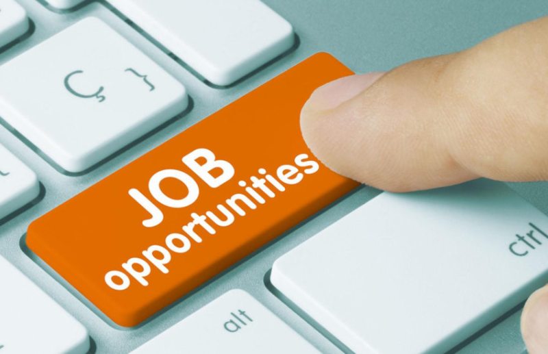 government jobs,Govt Jobs,Sarkari Naukri,sarkari jobs,employment news,sarkari naukari,rojgar samachar,employment news in hindi,latest government jobs,jobs in hindi,latest jobs news,latest government job,sarkari job,sarkari naukri search,