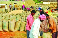 धान उठाव के लिए 65 राईस मिलर्स से प्रशासन ने किया अनुबंध, विवाद के कारण कुछ मिलर्स के आवेदन लंबित