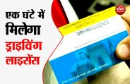 Driving License