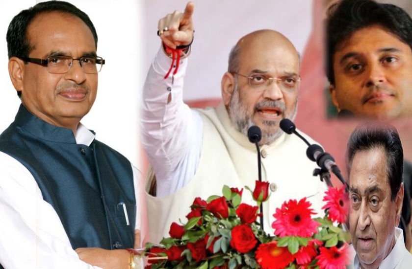 mp election